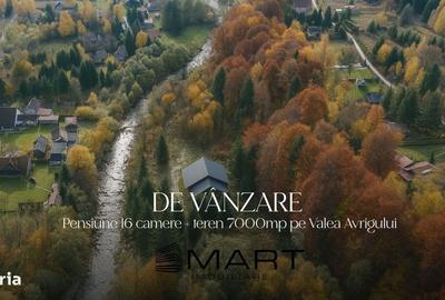 Casă cu 4 camere cu Teren 7000 Mp în Central - 8
