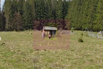 Teren de 2500 mp, în Valea Doftanei