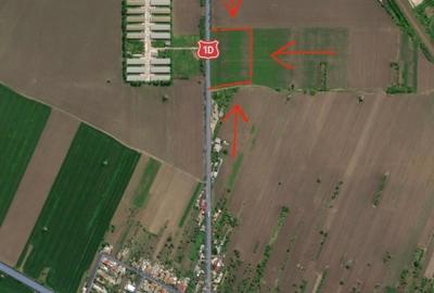 Teren de 7500 mp, în Albești-Paleologu - 2