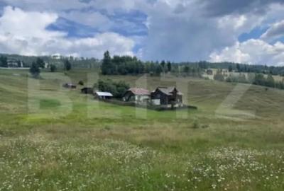 Teren de 36000 mp, în Central