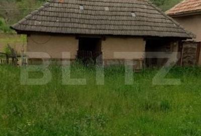 Casă cu 3 camere în Ruginoasa - 2