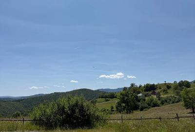 Spațiu comercial, în Rogojel - 8