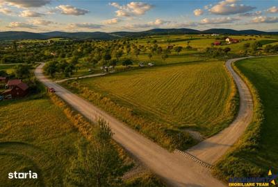 Teren de 3800 mp, în Valea Crișului