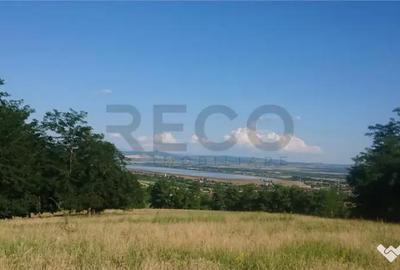 Teren de 8743 mp, în Tileagd - 5