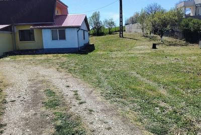 Teren de 6000 mp, în Badon - 4