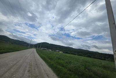 Teren de 5000 mp, în Central