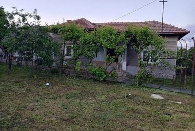 Casă cu 6 camere cu Teren 1600 Mp în Siliștea - 10