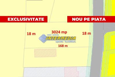 Teren Construcții intravilan de 3024 mp, în Totoi - 1