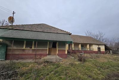 Casă individuală cu 3 camere cu Teren 7900 Mp în Boiu - 2