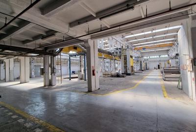 Spațiu industrial, de 8,000 mp, în Buziașului - 12