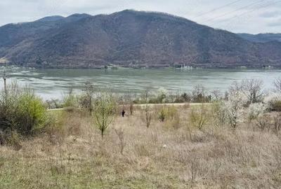 Teren de 6042 mp, în Berzasca - 3
