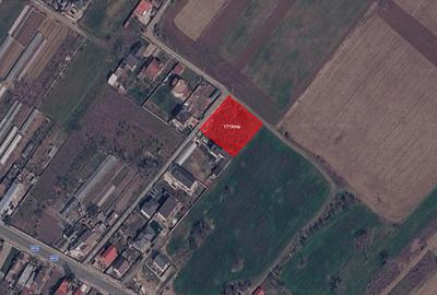 Teren Construcții intravilan de 1715 mp, în Alunișu
