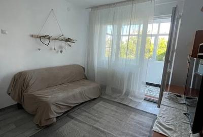 Apartament cu 2 camere semidecomandat în Podu Roș - 3