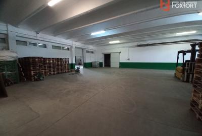 Spațiu industrial, de 1,411 mp, în Freidorf - 10