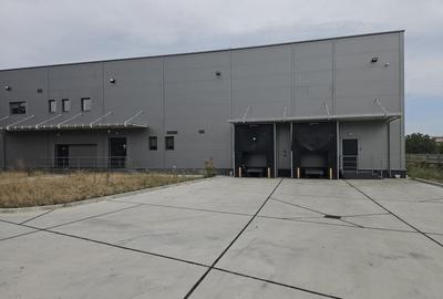 Spațiu industrial, de 786 mp, în Cernica - 2