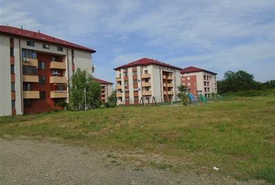 Teren Construcții intravilan de 15000 mp, în Micălaca - 4