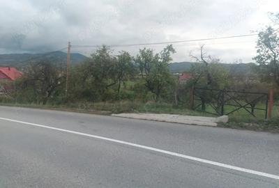 Teren de 10000 mp, în Josenii Bârgăului