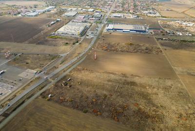 Teren agricol extravilan de 55340 mp, în Micălaca - 18
