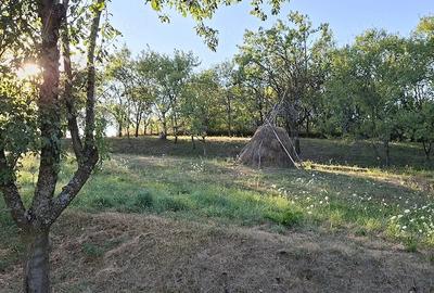 Teren de 1000 mp, în Vâlcele