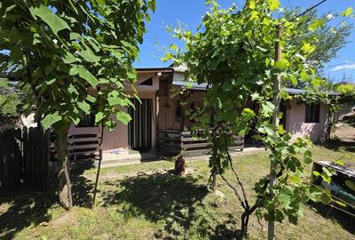 Teren Construcții intravilan de 1033 mp, în Cernele