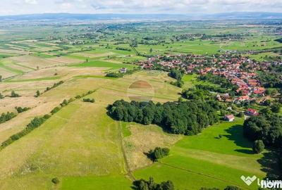 Teren de 16873 mp, în Mărcuș