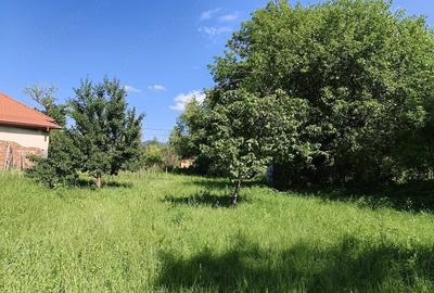 Teren de 2000 mp, în Fedeleșoiu - 1