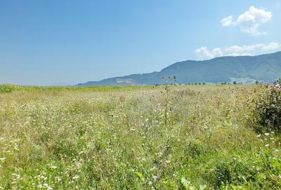 Teren agricol intravilan de 18000 mp, în Cristian - 3