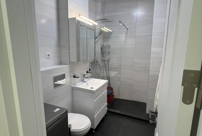 Apartament cu 2 camere decomandat, mobilat în Theodor Pallady - 6
