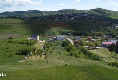 Spațiu comercial, în Sălicea - 13