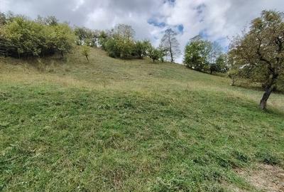Teren de 3900 mp, în Valea Rumâneștilor - 3