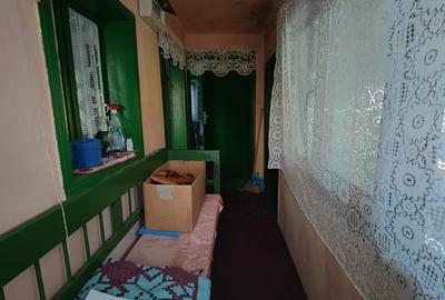 Casă individuală cu 4 camere cu Teren 8700 Mp în Băița - 13