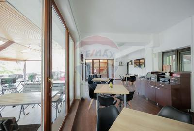 Hotel/Pensiune, de 320 mp, în Șuncuiș - 16