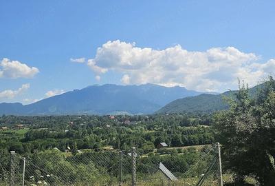 Teren de 2200 mp, în Tohănița