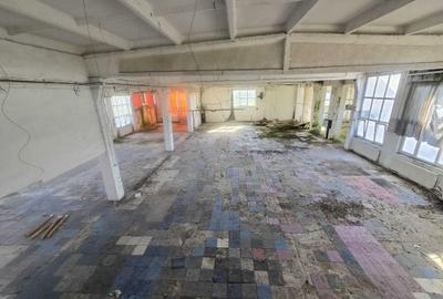 Spațiu comercial, de 7,354 mp, în Movila Miresii - 3