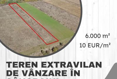 Teren extravilan de 6000 mp, în Sâncraiu