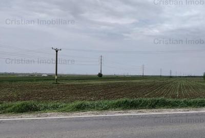 Teren intravilan de 7500 mp, în Centură