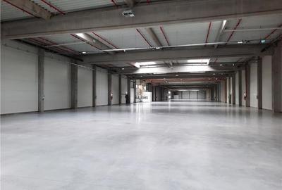 Spațiu industrial, de 900 mp, în Jucu - 18