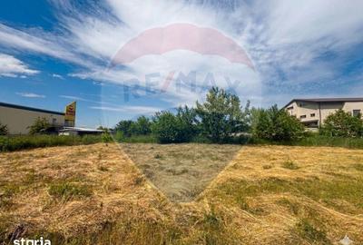 Teren de 620 mp, în Mioriței - 1