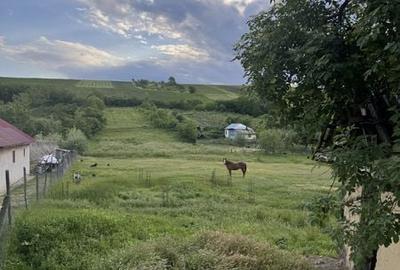 Teren de 6000 mp, în Coarnele Caprei - 5