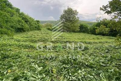 Teren în Rădaia