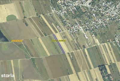 Teren de 4600 mp, în Bolintin-Deal