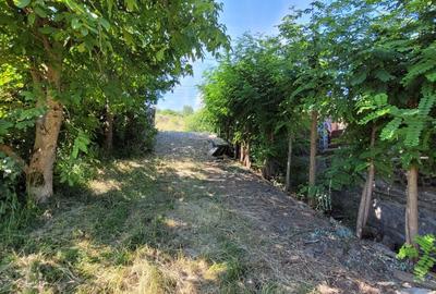 Teren de 3800 mp, în Ghinda - 1
