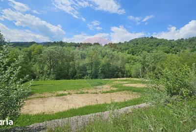 Teren de 2910 mp, în Hangu - 17