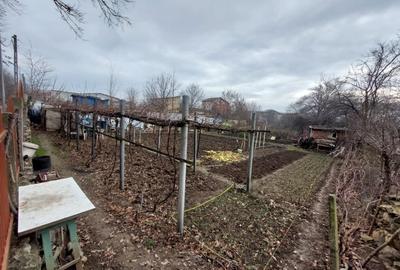 Teren Construcții intravilan de 2300 mp, în Kamsas - 7