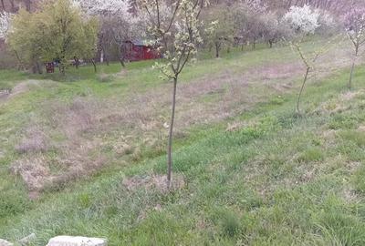 Teren de 950 mp, în Central - 18