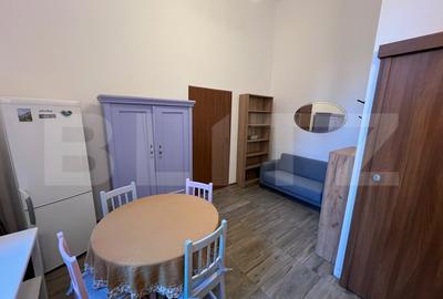 Apartament cu 2 camere nedecomandat, mobilat în Medicină