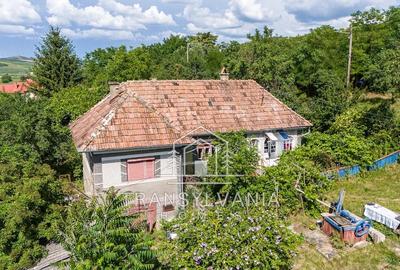Casă cu Teren 2560 Mp în Sâmboleni