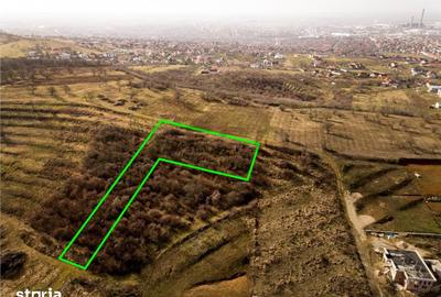 Teren de 3464 mp, în Oncea - 4