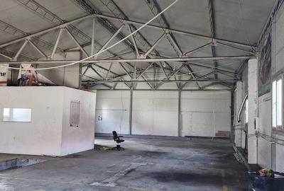 Spațiu comercial, de 260 mp, în Săcălaz - 4