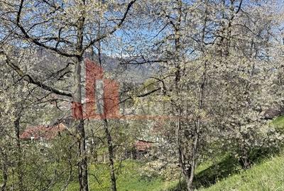 Teren de 2500 mp, în Bran